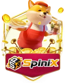 spinX